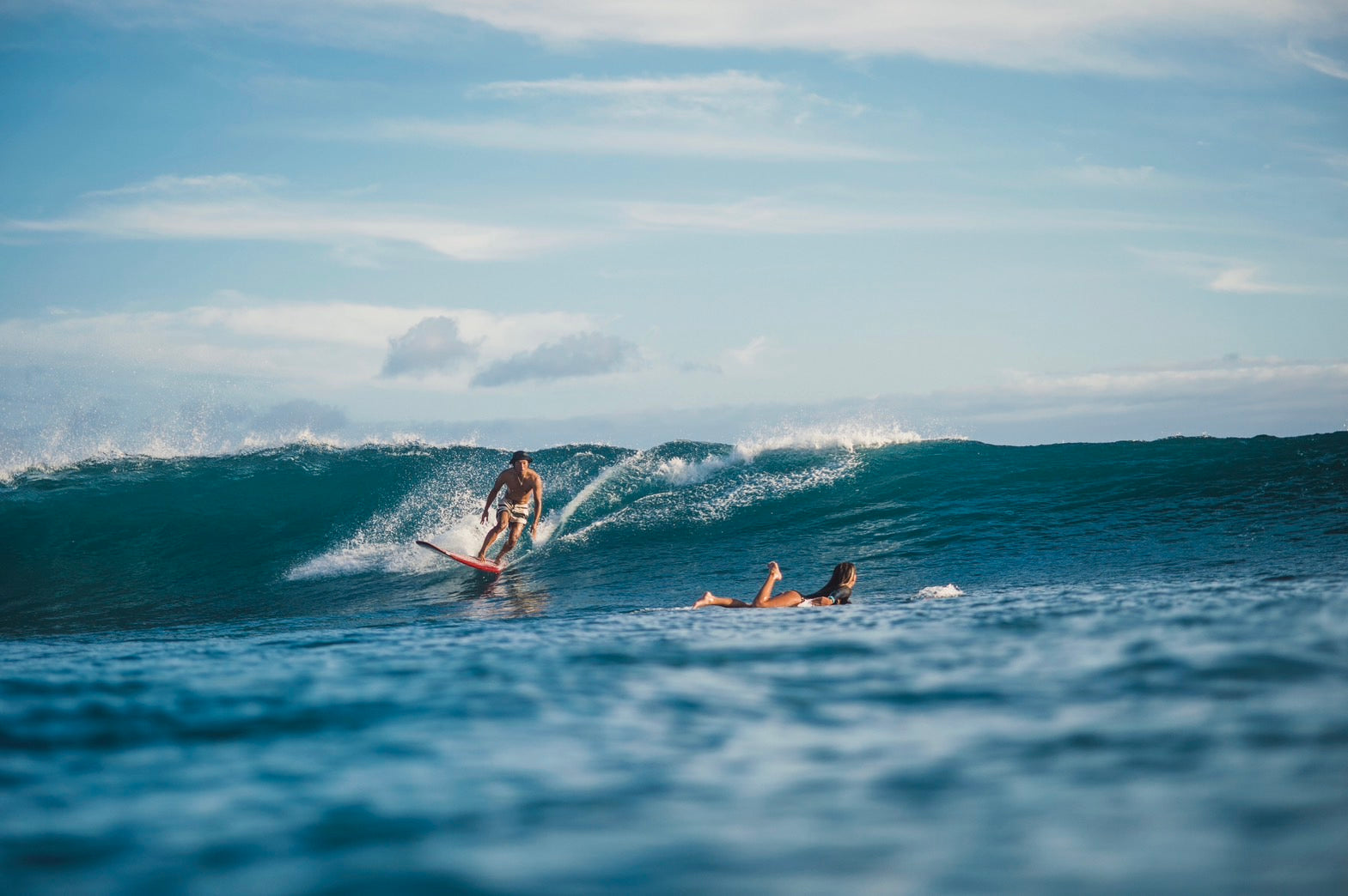 Felicitas merges into Aloha spirit